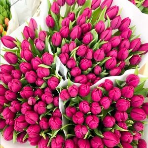 Meet your Posher, Paula